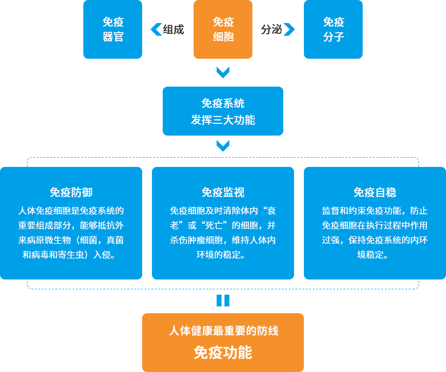 j9游会真人游戏第一品牌